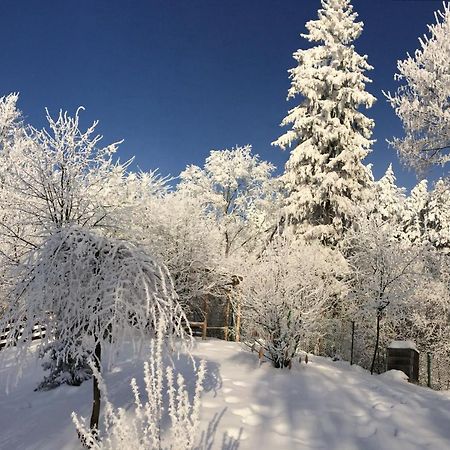 Bukowy Zdroj Βίλα Krynica Zdroj Εξωτερικό φωτογραφία
